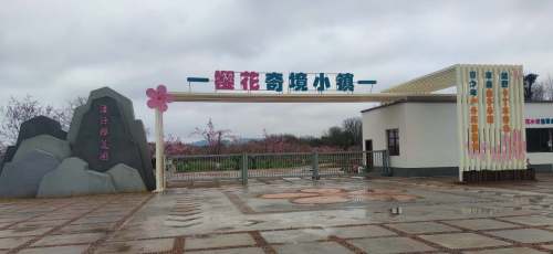 樱花奇境小镇旅行图片 1