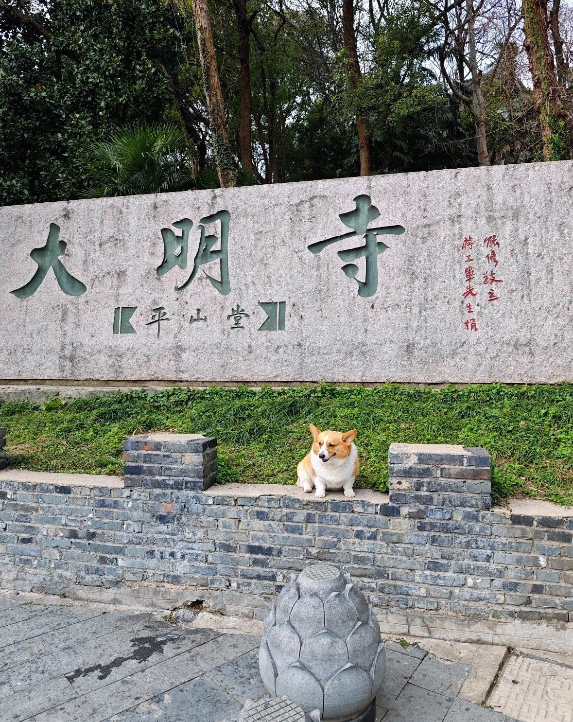 大明寺实景照片
