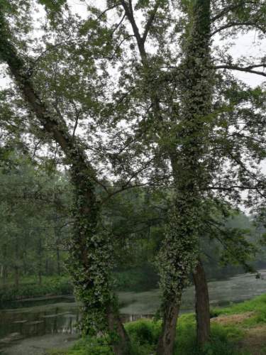 灵龙湖旅游区旅行图片 1