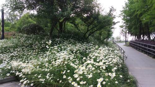 滨河公园旅行图片 1
