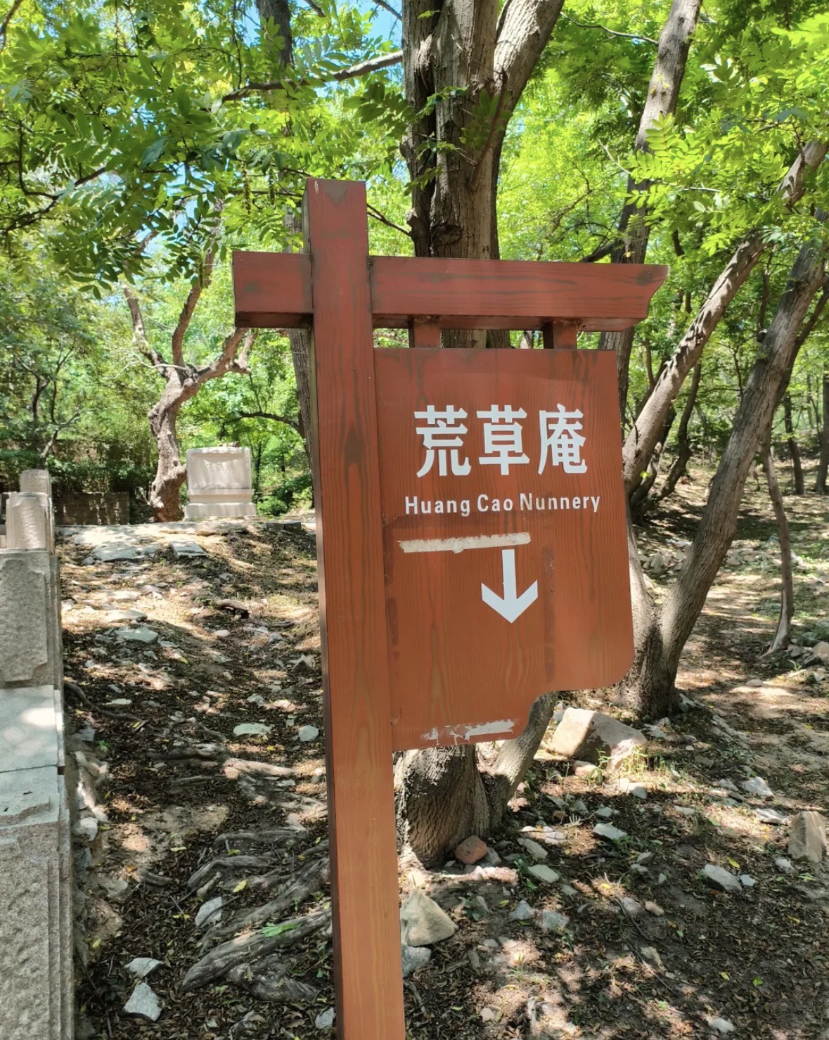 浮山森林公园-荒草庵实景照片