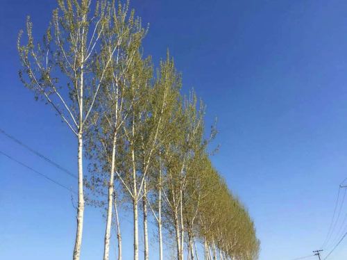 庄头文体公园旅行图片 3
