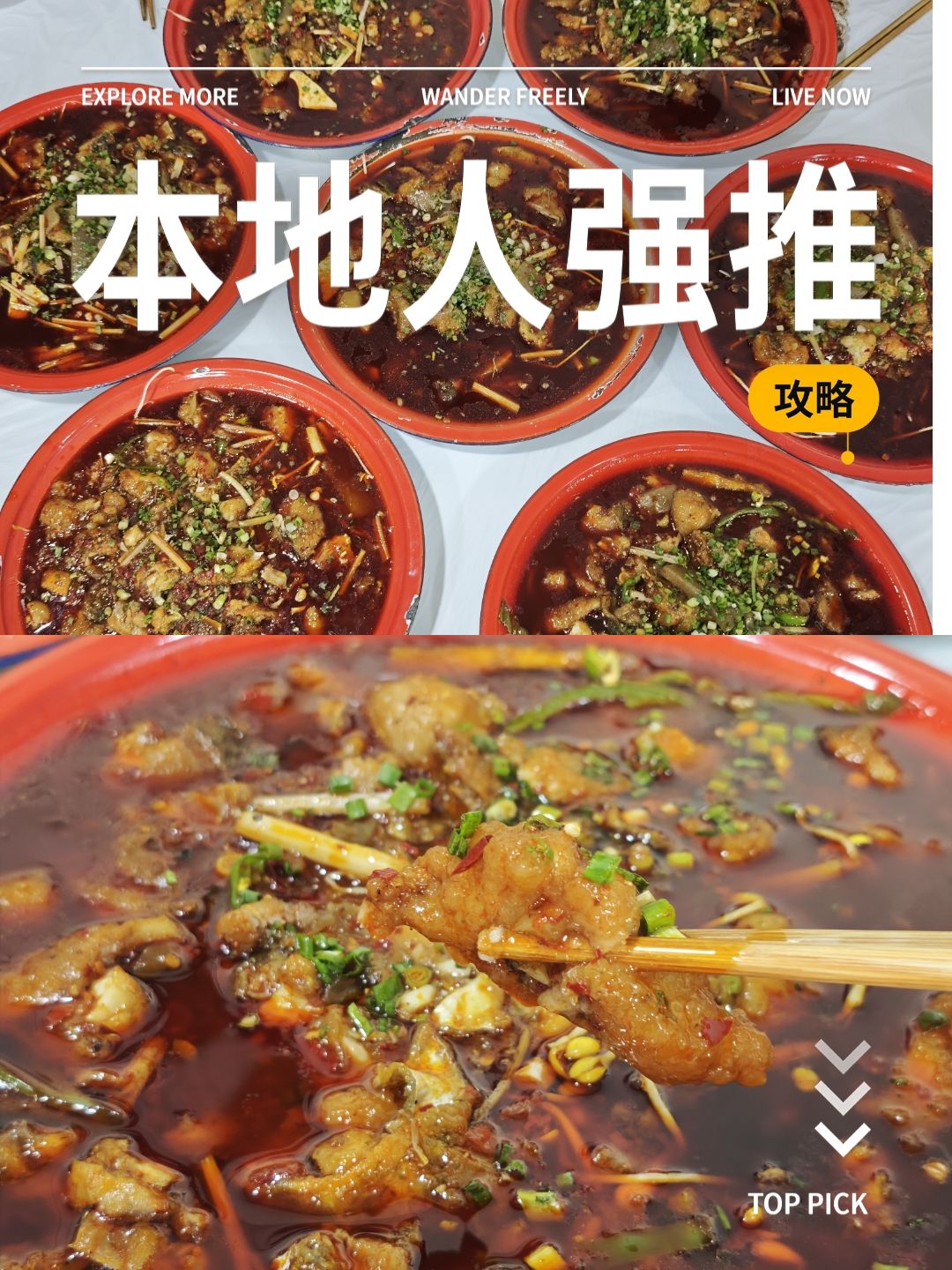 永久王鲶鱼