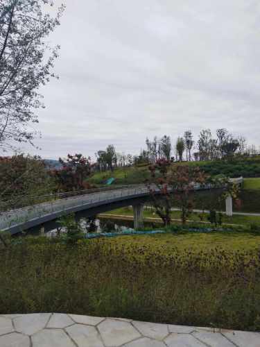 龙家山公园旅行图片 3