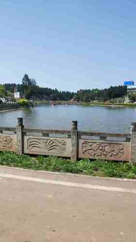 柠都乐园旅行图片 3