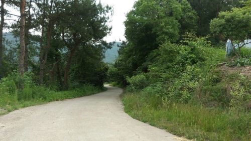 齐庐山风景区旅行图片 3