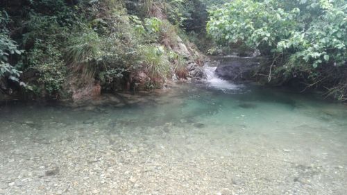 庐山马尾水生态旅游风景区旅行图片 1
