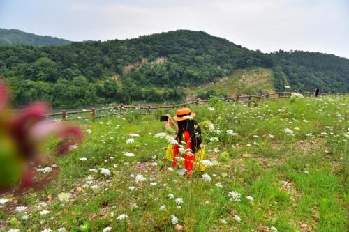韭菜山地质公园旅行图片 3