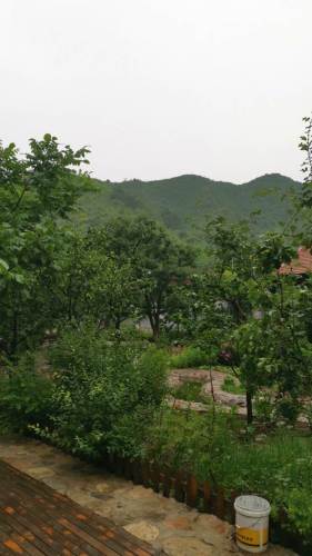 墩台山天然公园旅行图片 3