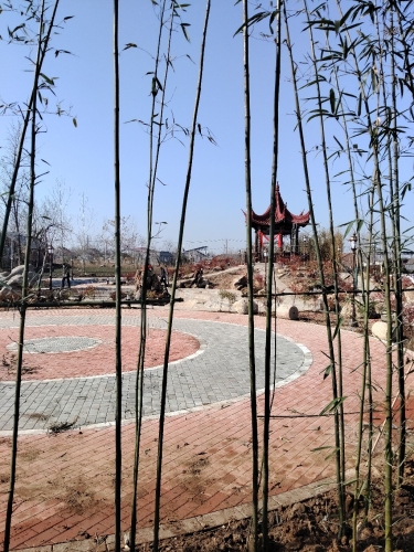 大宋村桂花公园
