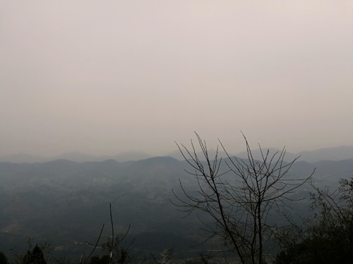 天心寺禅茶文化旅游区旅行图片 3