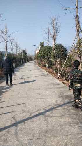 梅溪公园旅行图片 3