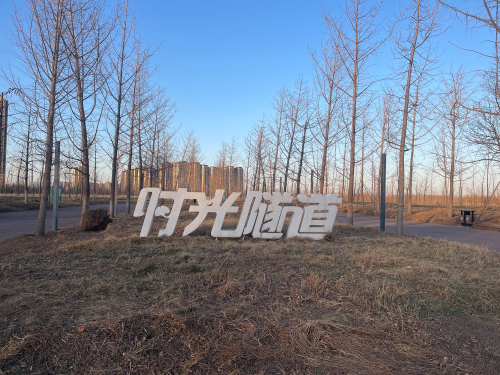潮白河樱花公园时光隧道