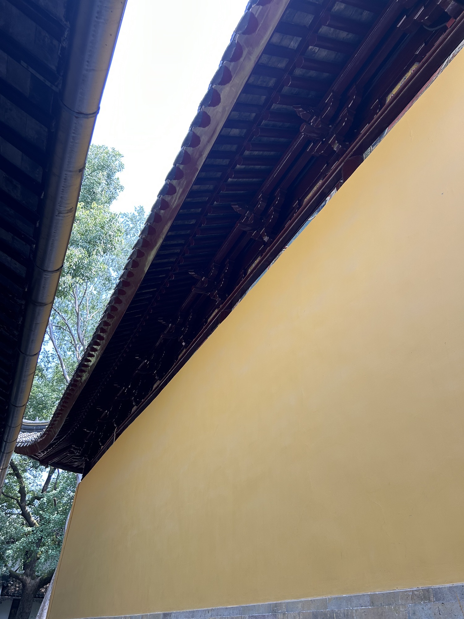 西园寺-观音殿实景照片