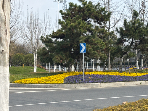 跃进河公园