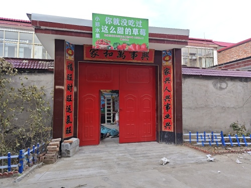 你就没吃过这么甜的草莓