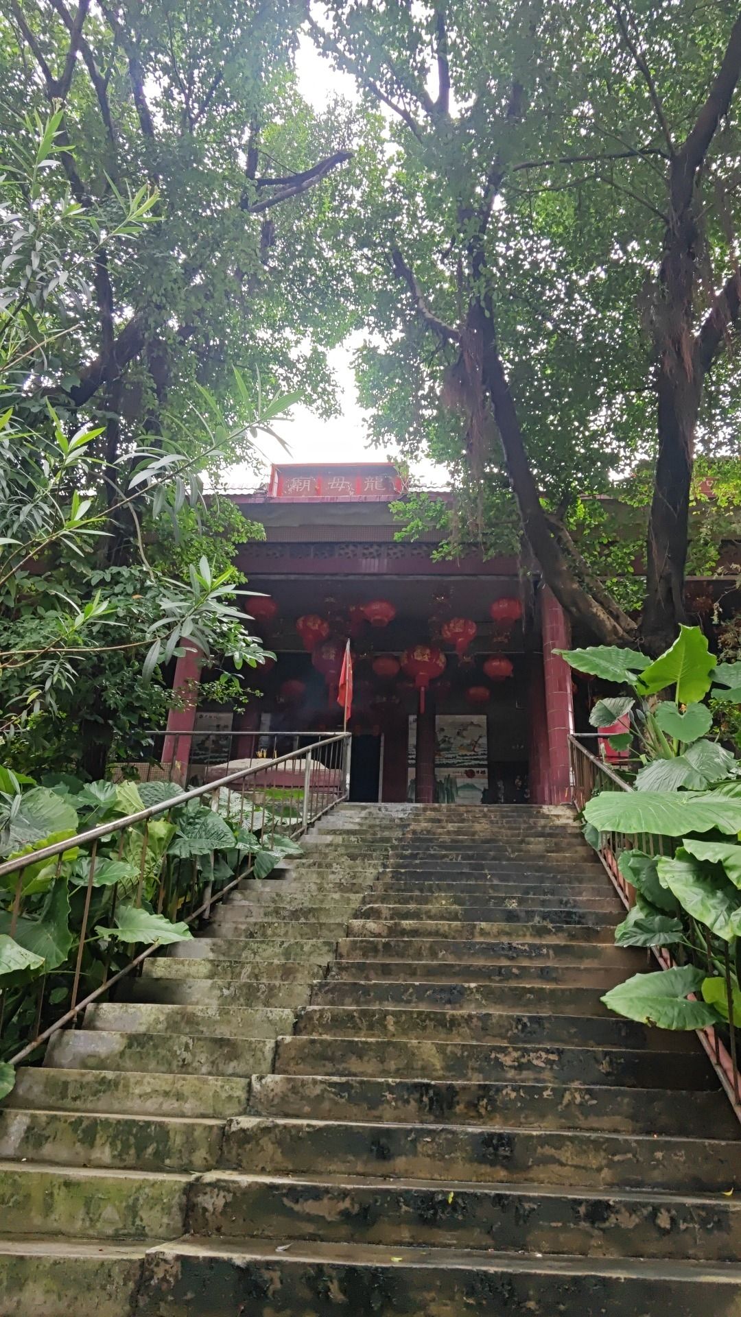 鹿颈龙母庙实景照片