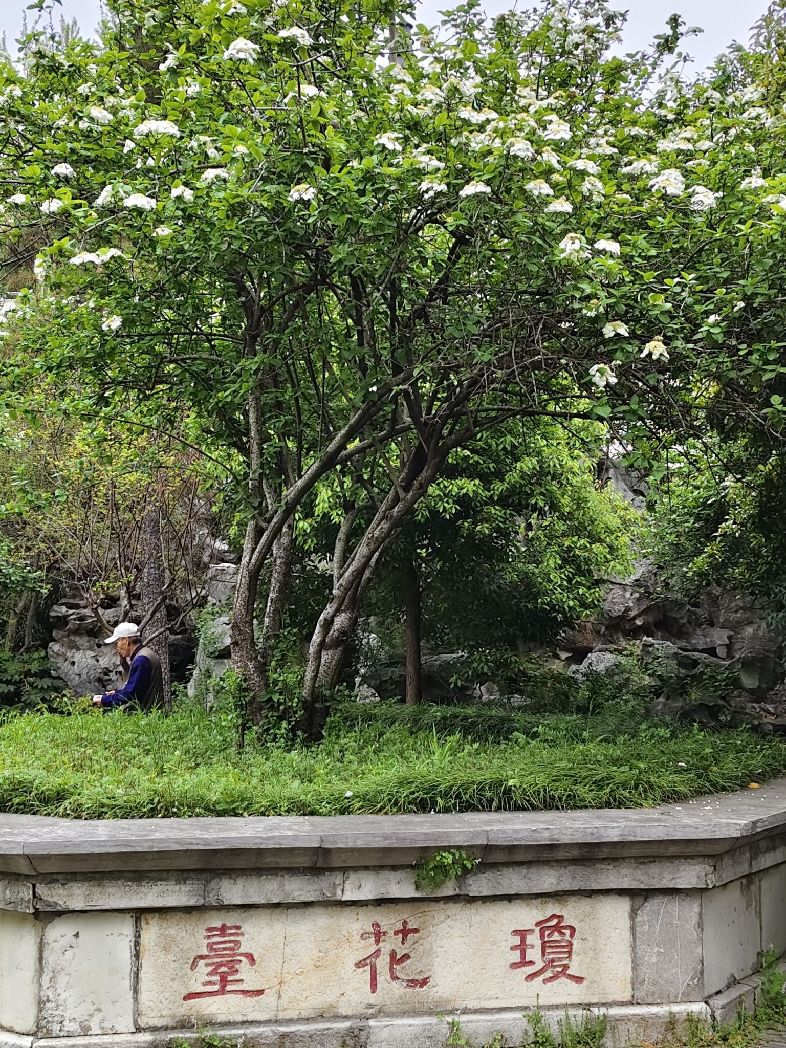 On-site photo 6 of Qiong Hua Guan