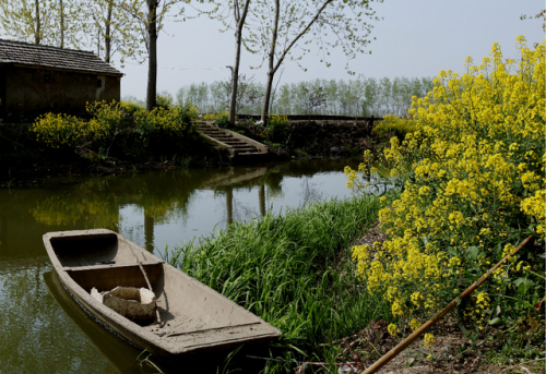 徐马荒原生态风景区旅行图片 1