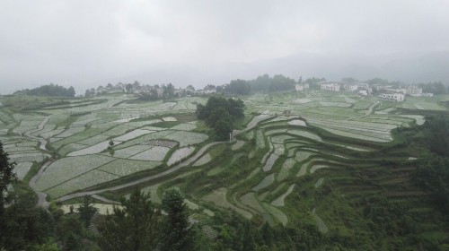 高坡苗寨旅行图片 3