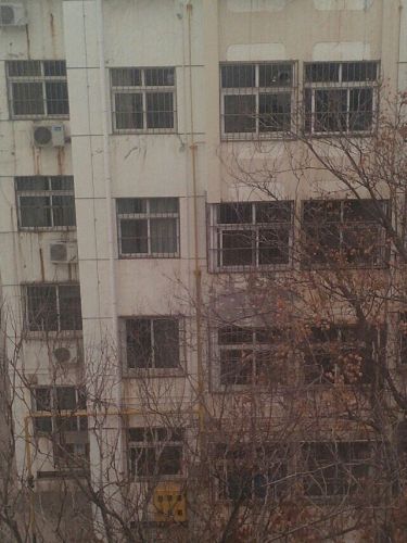 子路博物馆旅行图片 2