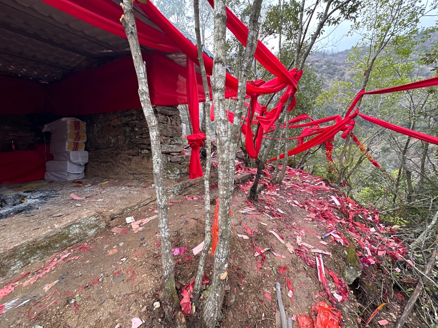 祖师庙实景照片