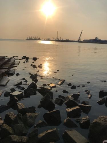 海滨公园旅行图片 1