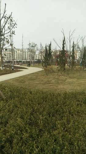 刘桥体育公园旅行图片 1