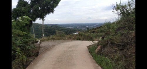 石家村水库旅行图片 1