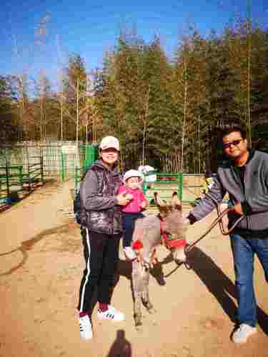 百雀林观光园旅行图片 3