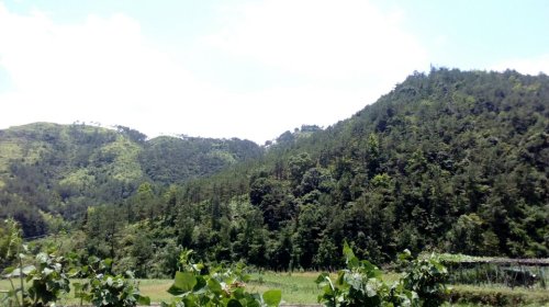 瑞安高楼龙潭风景区旅行图片 1