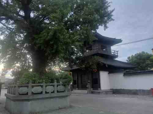 万寿寺旅行图片 2