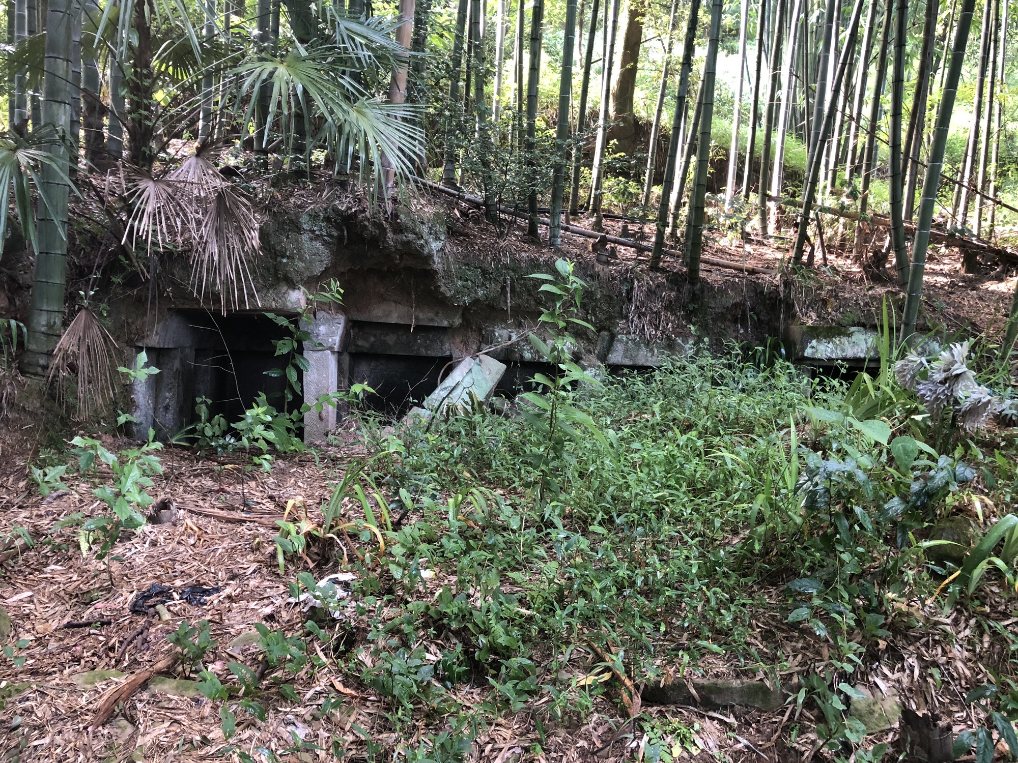 钟峰寺实景照片