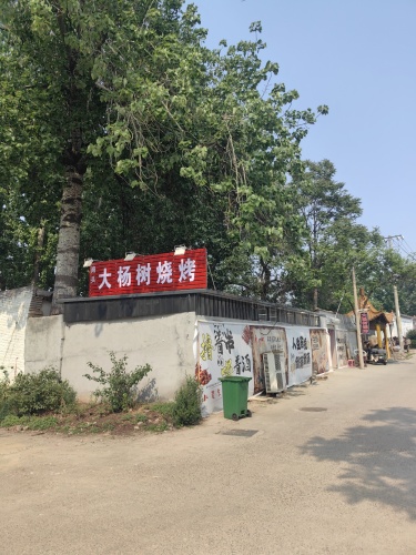 灵寿县大杨树烧烤