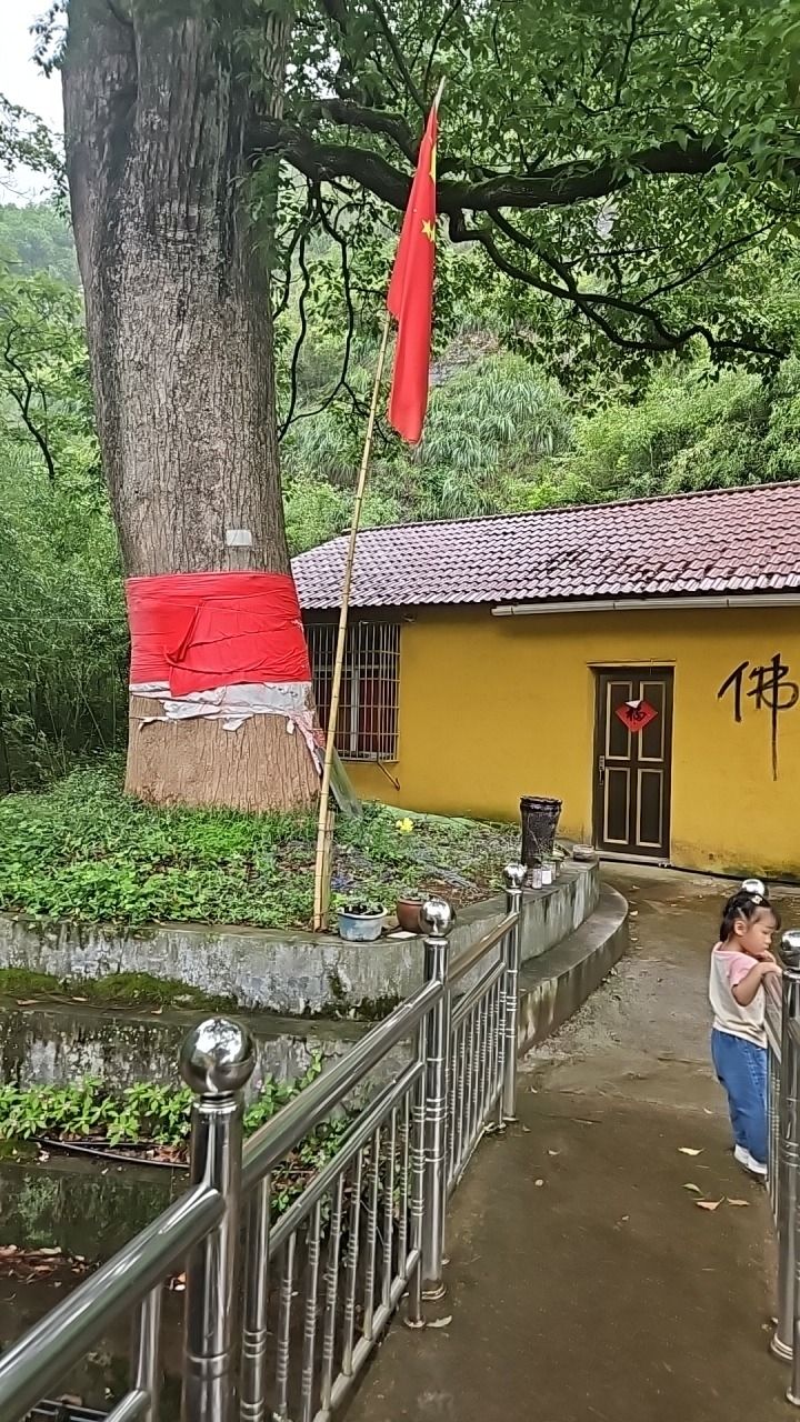 大坑祖庙实景照片