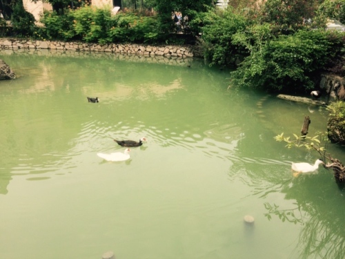 深圳甘坑客家小镇旅行图片 2