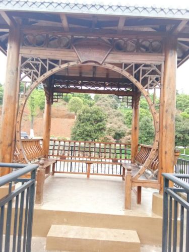 东方新绿洲北塔生态园旅行图片 3