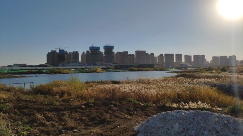 光明公园旅行图片 1