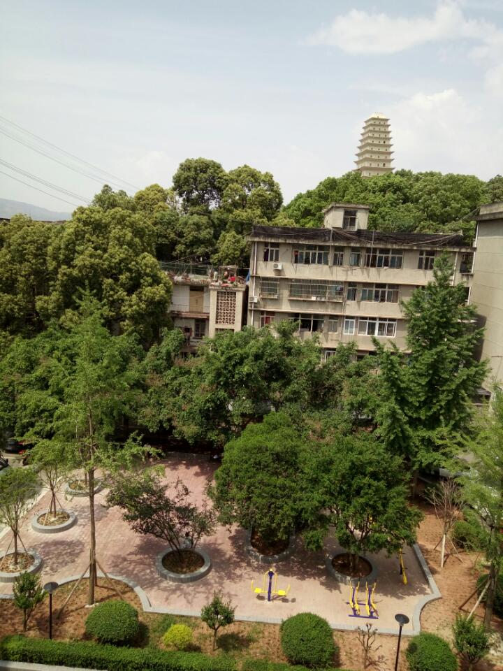 观音殿实景照片