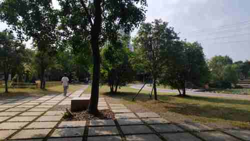 泉山文化公园旅行图片 1