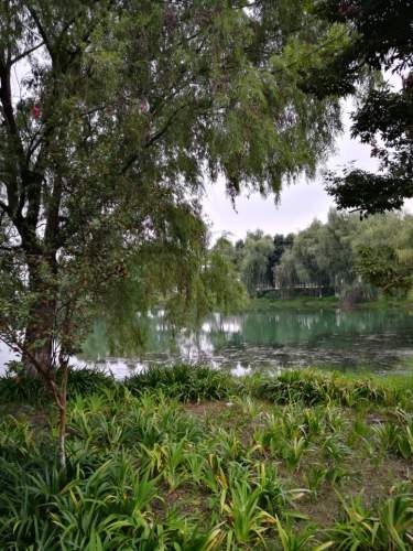 安德活水公园旅行图片 1
