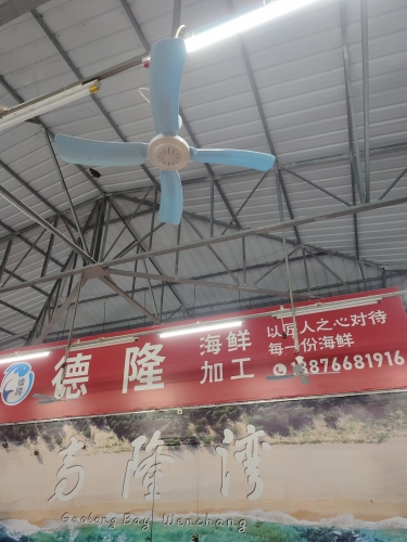德隆海鲜加工