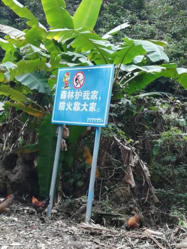 大梭生态峡谷群旅行图片 1