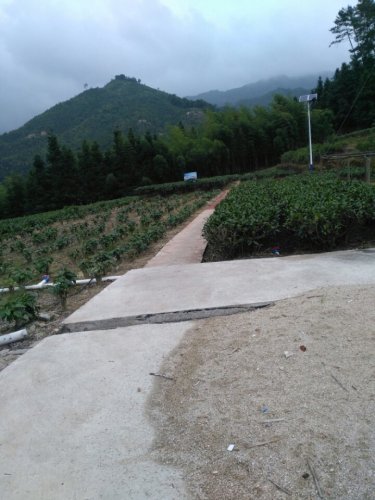 丹霞天雄生态观光茶园旅行图片 2
