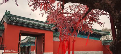 凤阳中都城隍庙 3