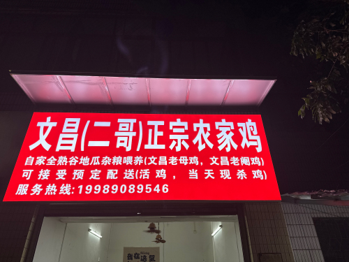 文昌(二哥)正宗农家鸡