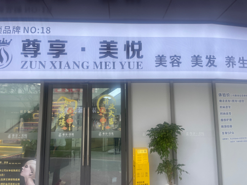 Gallery 4