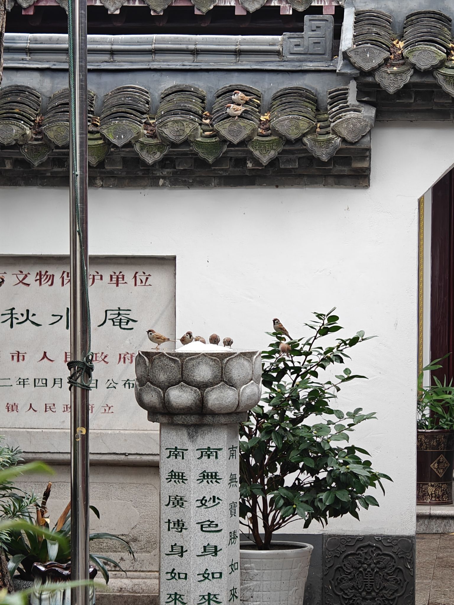 古秋水庵实景照片