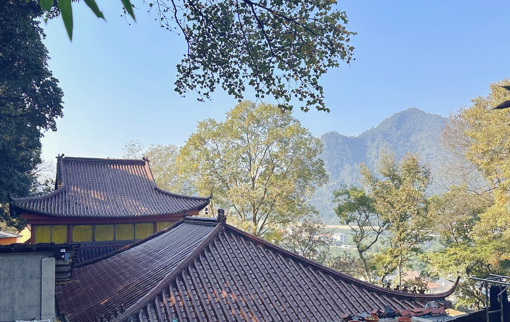 化田寺实景照片