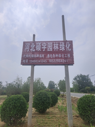 河北硕宇园林